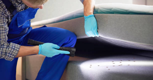 Best Best Pest Control Companies  in Roslyn Heights, NY