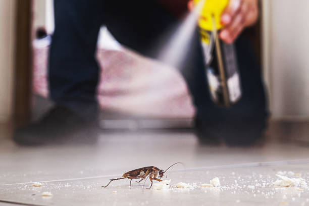 Best Local Pest Control Services  in Roslyn Heights, NY