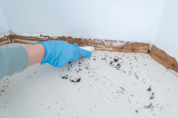 Best Cockroach Control Services  in Roslyn Heights, NY